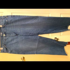 Size 24 Terra and Sky frayed bottom Jean